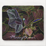 Moonflower "drawing" in negative mousepads