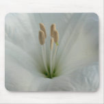 Moonflower mousepads