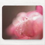 Moonflower mousepads