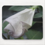 Moonflower mousepads