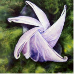 Moonflower Photo Sculpture photo sculptures