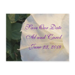 Moonflower Save the Date- customise any occasion postcards