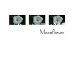 Moonflower t-shirts