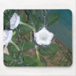 moonflowers mousepads