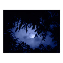 Moonglow Postcard