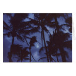 Moonlight Palm Trees Card