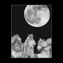 Moonlight Serenade postcards