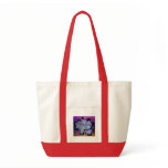 Moonlight Stardust Plumeria Weave Canvas Bag