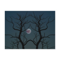 Moonlight Tree Silhouette Post Cards