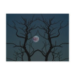 Moonlight Tree Silhouette postcards