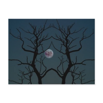 Moonlight Tree Silhouette Post Cards by FallSeason