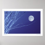 Moonstruck Posters