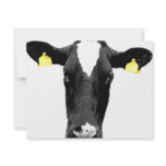 moooooo invitations
