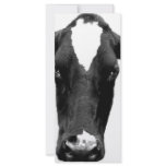 moooooo rack cards