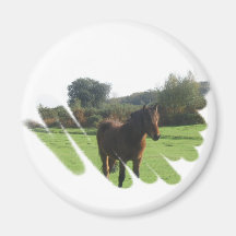 Moor Pony Magnet