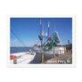 Moored Shrimp Boats Postcards