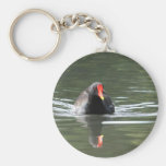 Moorhen and Reflection Key Chains