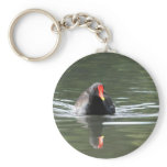 Moorhen and Reflection keychains