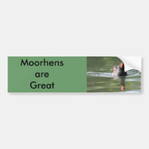 Moorhen Bumper Stickers