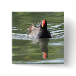 Moorhen buttons
