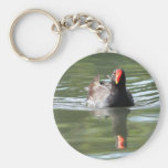 Moorhen Key Chain