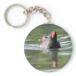 Moorhen keychains