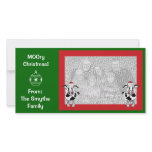 MOOry Christmas! Photo card. photo cards