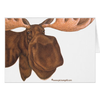 Moose Cards, Photo Card Templates, Invitations &amp; More
