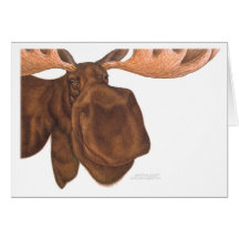 moose_card