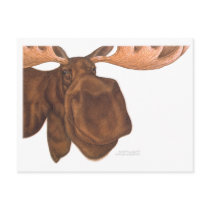 moose_card post card