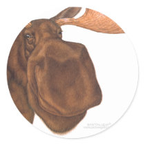 moose_card stickers