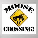Moose Crossing Sign Posters