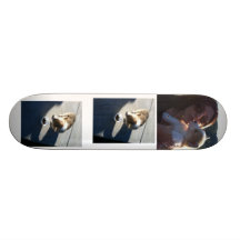 Moose funnn skate decks
