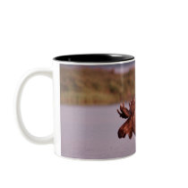 Moose in Lake