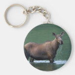 moose key chains
