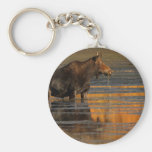 moose keychains