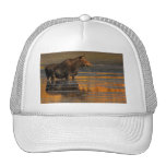 moose mesh hats