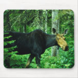 Moose Mouse Pad