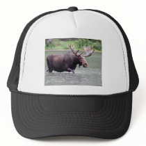 Moose on a Mission Mesh Hat