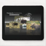 Moose Pad mousepads
