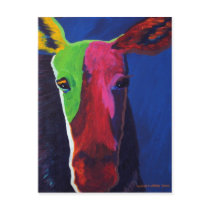 moose postcard