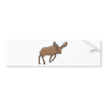 Moose Shirts and Gifts 103