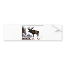 Moose Shirts and Gifts 111