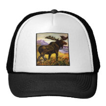 Moose Shirts and Gifts 63 Hats