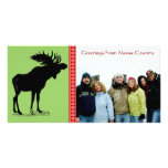 Moose Silhouette photo cards