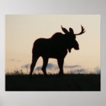 moose silouette posters