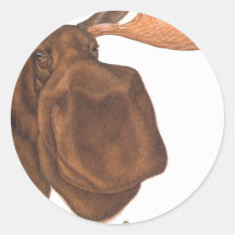 moose stickers