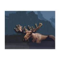 Moose Talk Postcard