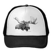 Moose Trucker Hat