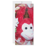 more monkey love rack cards